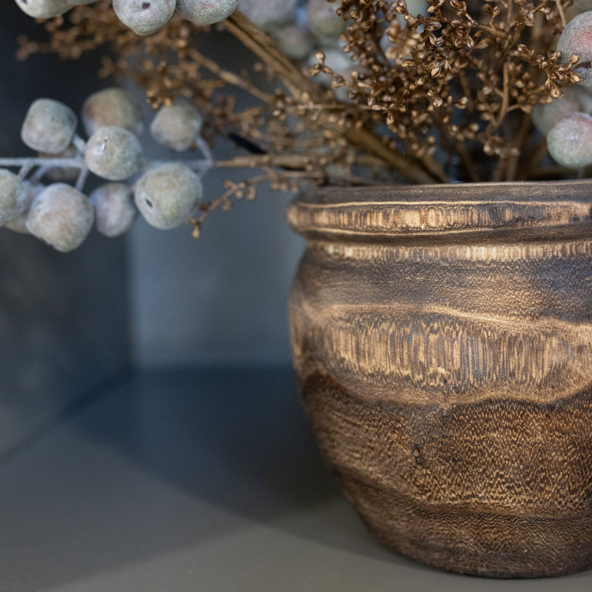 6" Paulownia Pot