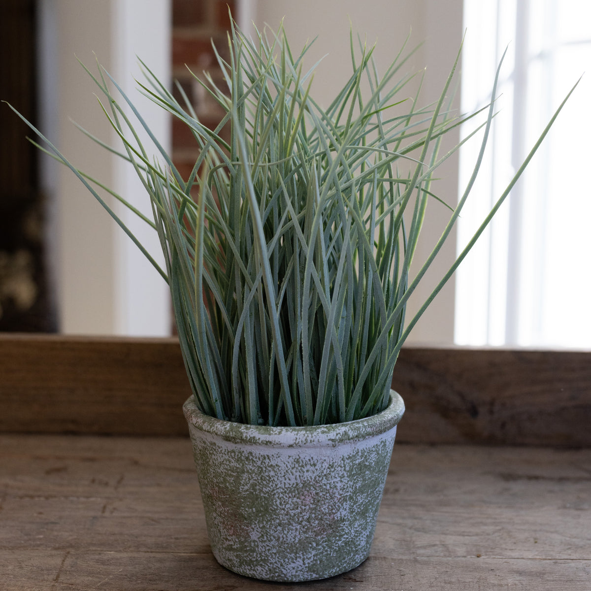 11" Plastic Potted Grass