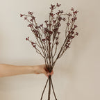 30" Burgundy Berry Stem