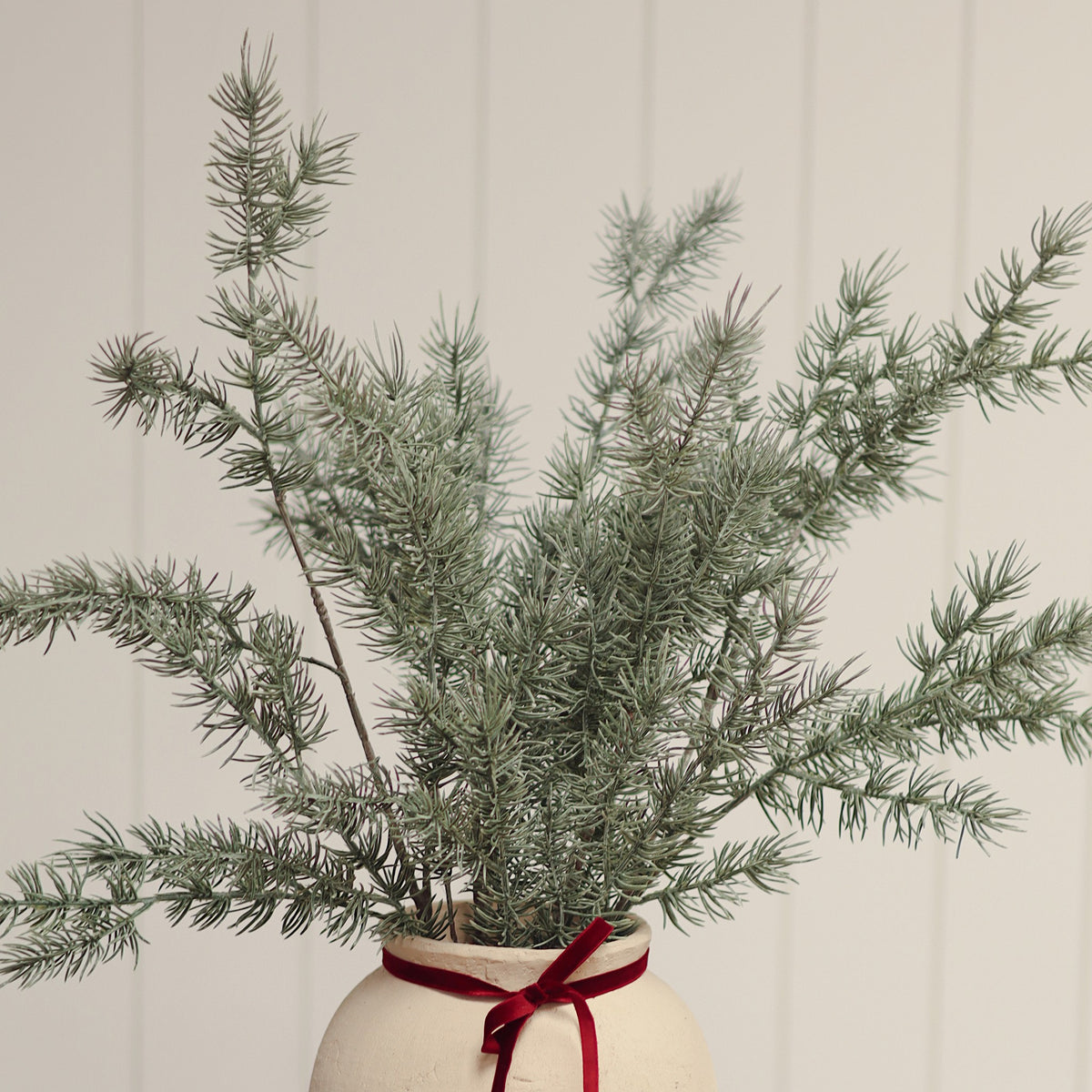 Cypress Sprig