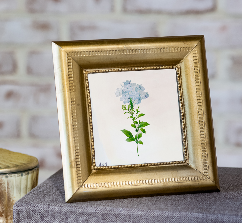 Brass Antique Photo Frame | 4"x4"