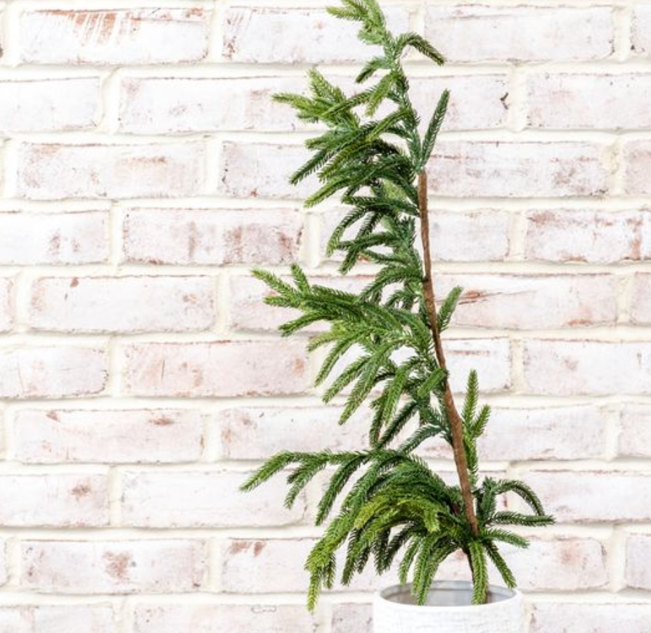 36" Evergreen Branch