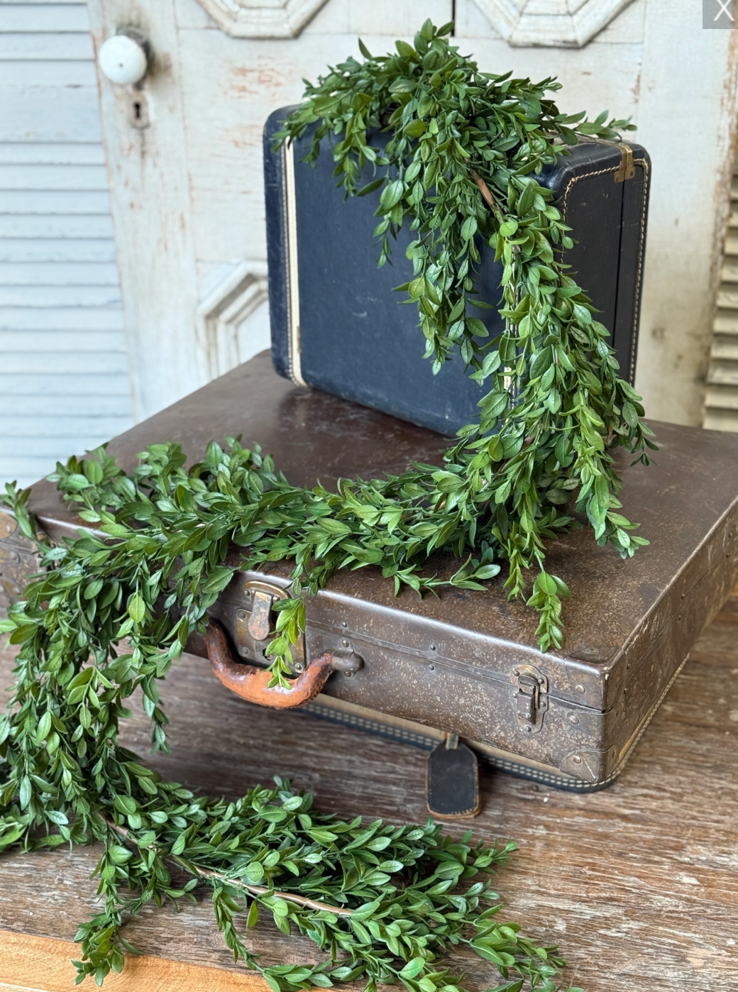 6' Nottswood Leaves Garland