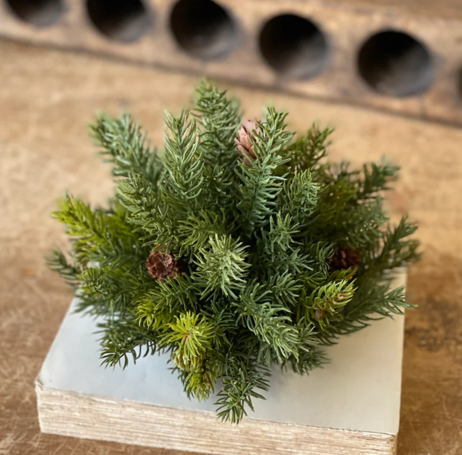 8" White Spruce Half Sphere