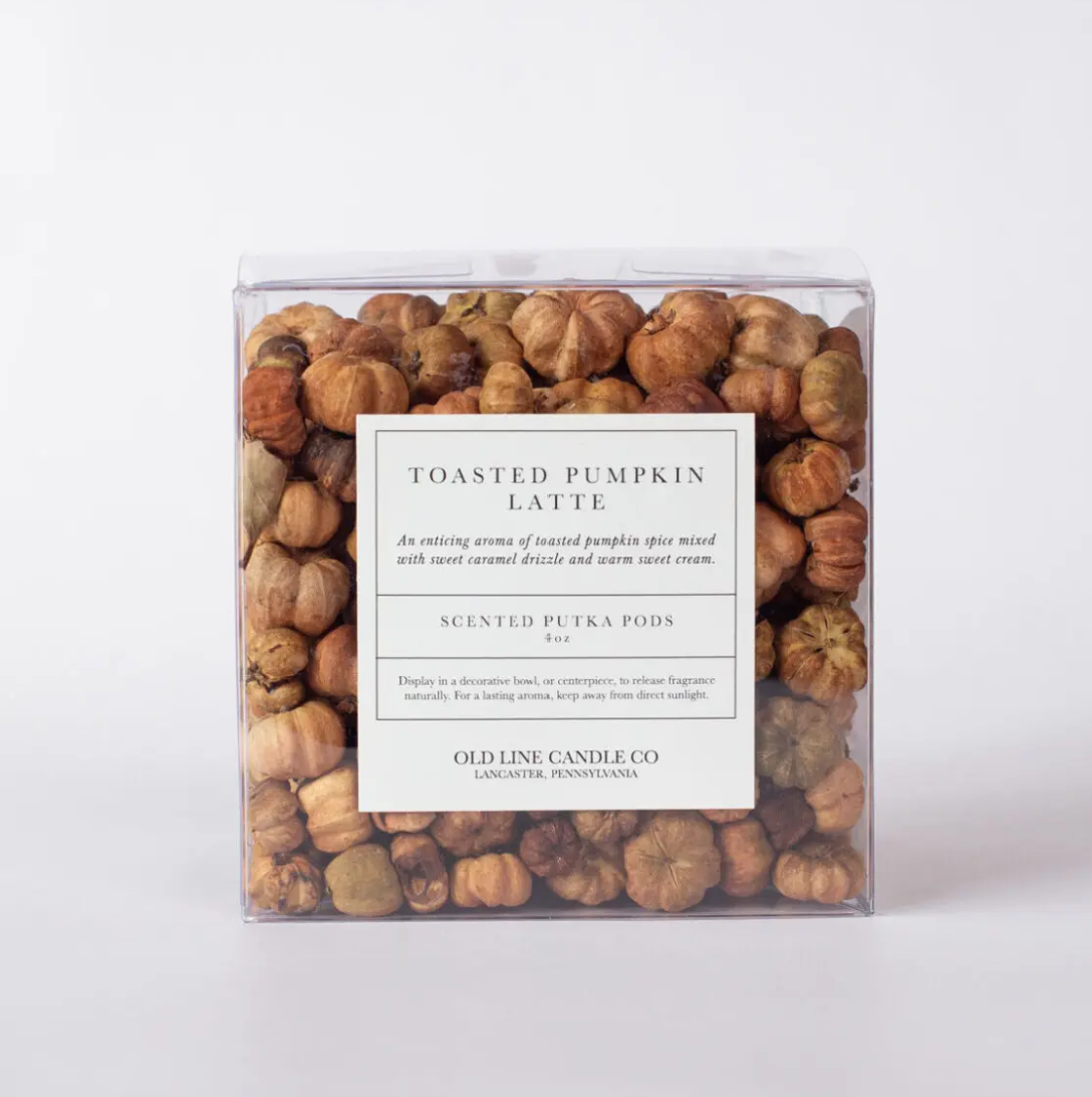Scented Pumpkin Putka Pods | Toasted Pumpkin Latte