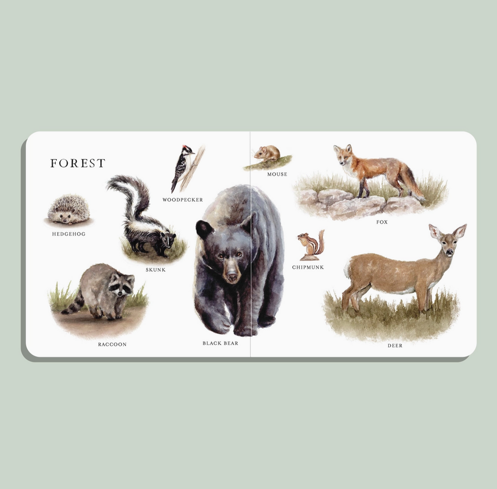Big Book of Aminals